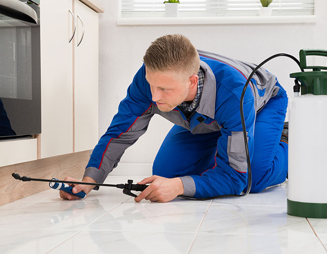 Exterminator Brick Township
